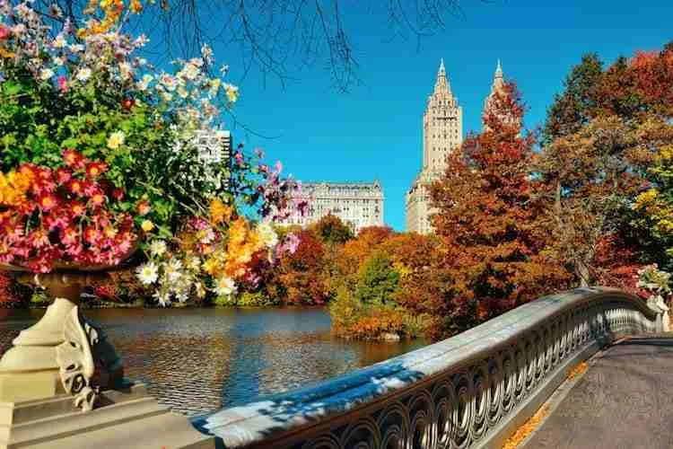 Autunno a New York: pro e contro