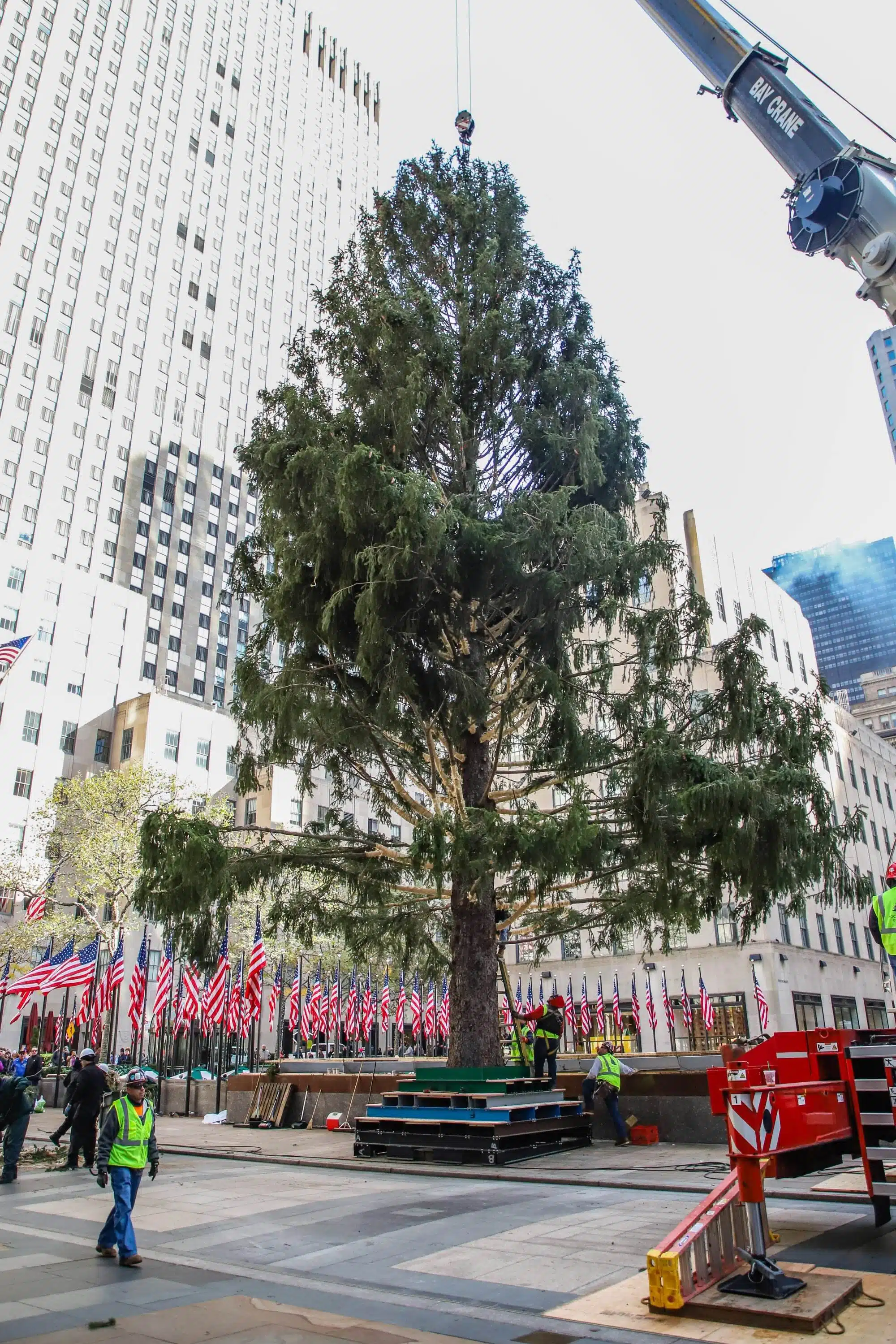 L'albero di Natale del 2019