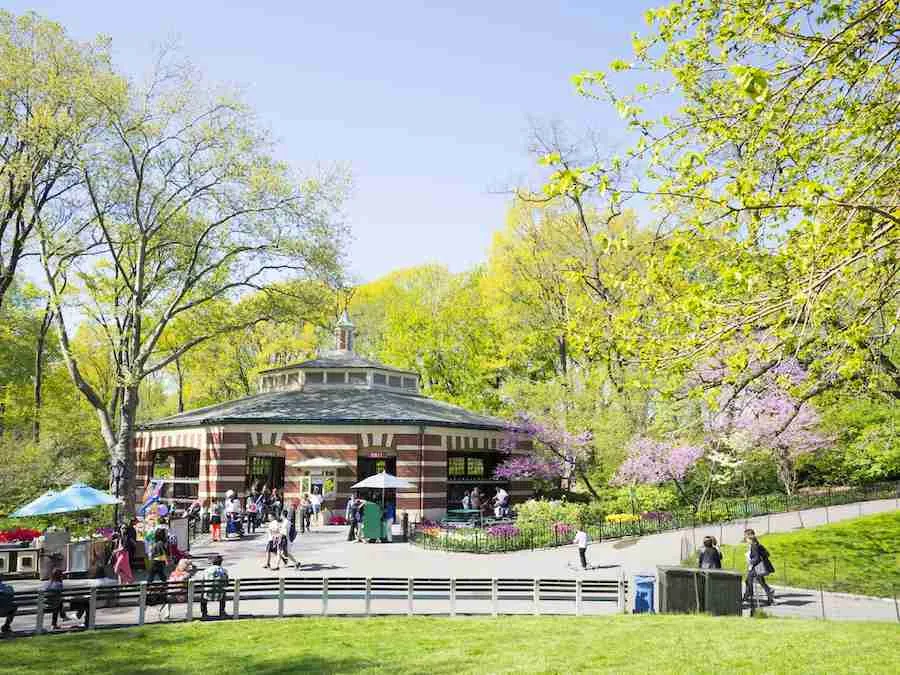 Il bellissimo carosello di Central Park