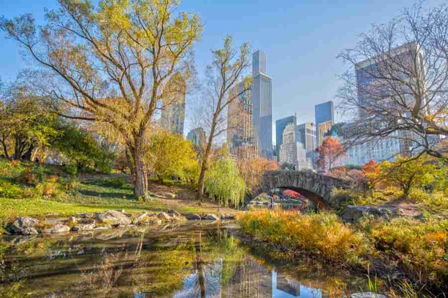 Central Park - Cosa vedere a New York in 3 giorni