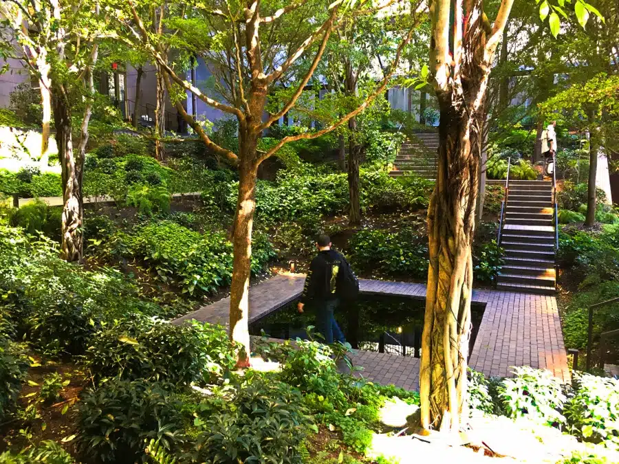 Ford Foundation Atrium, New York